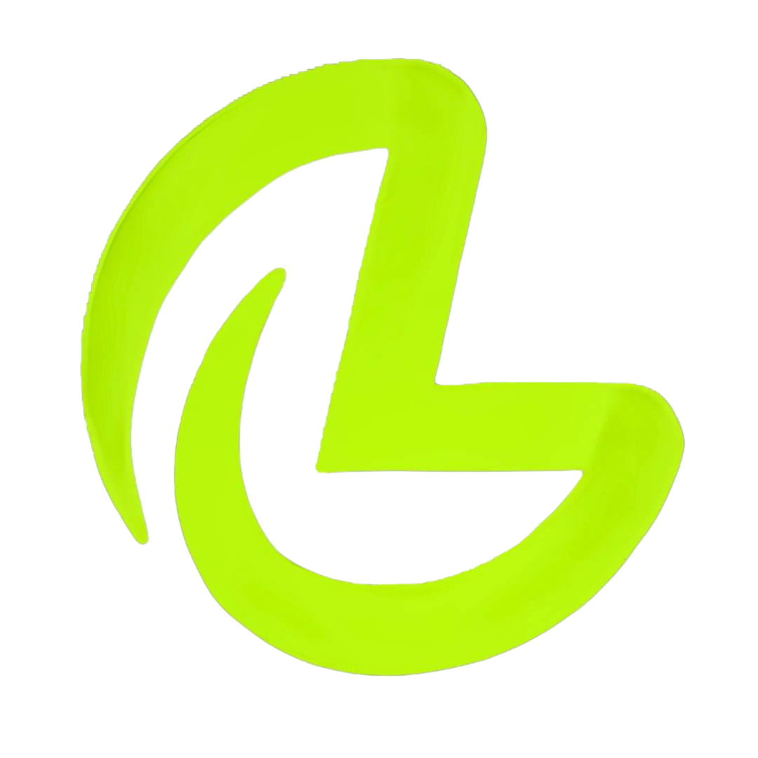 Lager Digital Solutions Logo